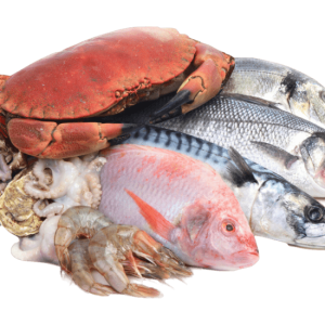 ماهی قزل آلا